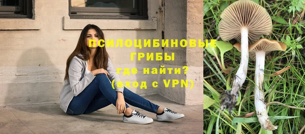 МДПВ Елабуга