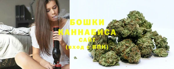 трава Елизово
